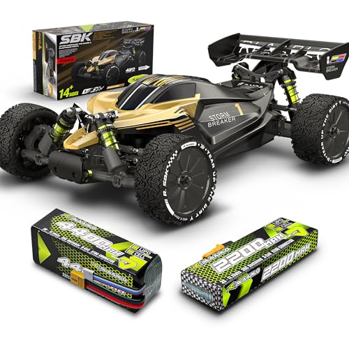 1/10 Brushless RC Buggy with 4400 Battery