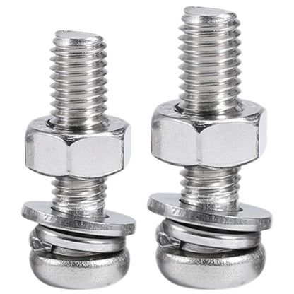 Machine Screw Assortment Kit 1007Pcs 304 Stainless Steel, #4-40#6-32#8-32#10-24 Phillips Pan Head Screws with Nuts, Flat & Spring Washers, Organized Storage Case for DIY Home Repair Automotive