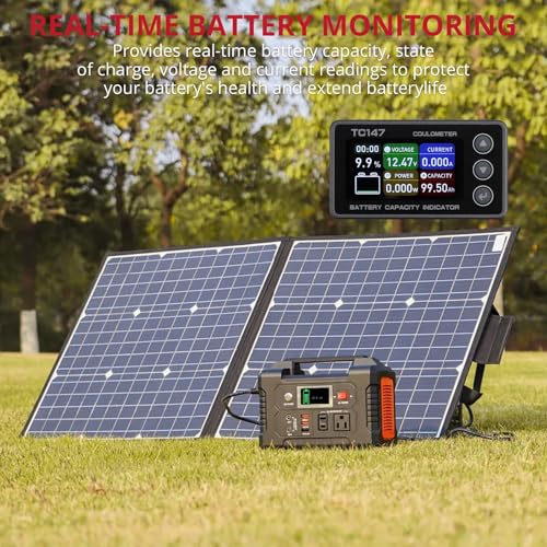 BINTA 0-50A Small Battery Monitor Shunt Voltmeter Ammeter Lifepo4 Lithium | Backlight Waterproof Battery Monitor with Shunt for Auto Car Motorhome Golf Cart Portable Power Systems