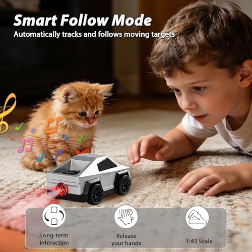 Remote Control Car Cyber-Inspired Rc Cars Toys with Drift Spray Lights Sound Automatic Follow 2.4GHz Rc Truck Toys for 3+ Boys Pet - color: Silver
