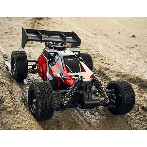 TOUCAN RC HOBBY 1/16 16202Pro RWD Radio Controlled Off Road Vehicle RC Electric Racing Car Rear Wing Metal Gears 2847 Brushless Motor RTR for Adult - color: Red