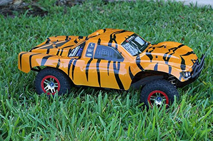 SummitLink Compatible Custom Body Tiger Style Replacement for 1/10 Scale RC Car or Truck (Truck not Included) SS-TA-01