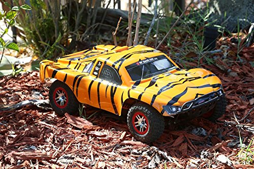 SummitLink Compatible Custom Body Tiger Style Replacement for 1/10 Scale RC Car or Truck (Truck not Included) SS-TA-01