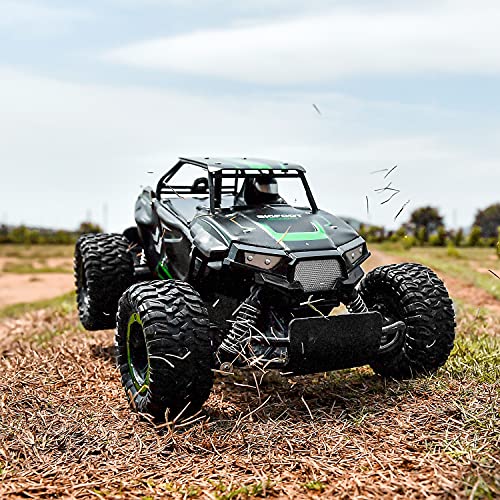 BEZGAR TB142 Remote Control Car - 1:14 RC Cars for Boys Kids and Adults | 2WD All-Terrains Electric Off-Road, 20 Km/h Vehicle Truck Crawler Toy with Two Rechargeable Batteries
