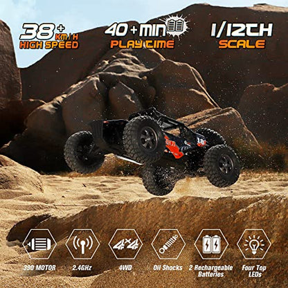 HAIBOXING 905 Protector 1:12 Scale RC Cars, Off-Road RC Buggy Hobby Grade | Aluminum Oil-Filled Shocks, Fast Remote Control Car 38 km/h, 2.4GHz Waterproof ESC, Perfect for Kids& Adults, Dual Batteries